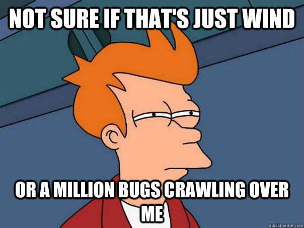 not sure if that's just wind or a million bugs crawling over me  Futurama Fry