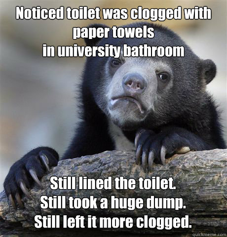 Noticed toilet was clogged with paper towels
in university bathroom Still lined the toilet.
Still took a huge dump.
Still left it more clogged.  Confession Bear