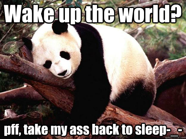 Wake up the world? pff, take my ass back to sleep-_- - Wake up the world? pff, take my ass back to sleep-_-  Procrastination Panda