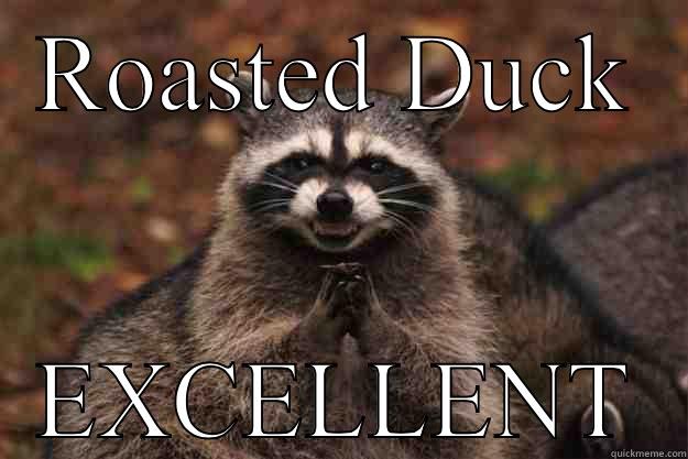 Kill the Ducks!  - ROASTED DUCK EXCELLENT Evil Plotting Raccoon