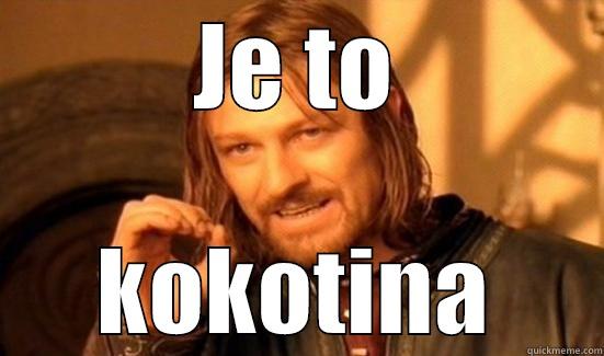 JE TO KOKOTINA Boromir