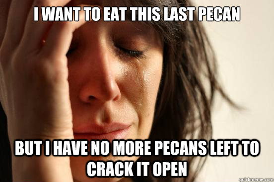 I want to eat this last pecan but I have no more pecans left to crack it open - I want to eat this last pecan but I have no more pecans left to crack it open  First World Problems