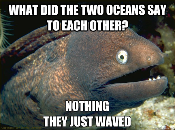 What did the two oceans say to each other? Nothing
they just waved  Bad Joke Eel
