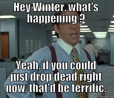 HEY WINTER, WHAT'S HAPPENING ? YEAH, IF YOU COULD JUST DROP DEAD RIGHT NOW, THAT'D BE TERRIFIC. Bill Lumbergh