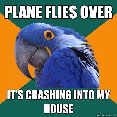 Plane flies over It's crashing into my house  Paranoid Parrot
