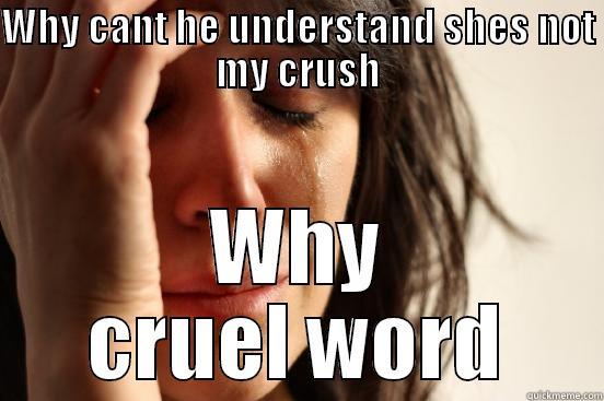 WHY CANT HE UNDERSTAND SHES NOT MY CRUSH WHY CRUEL WORD First World Problems