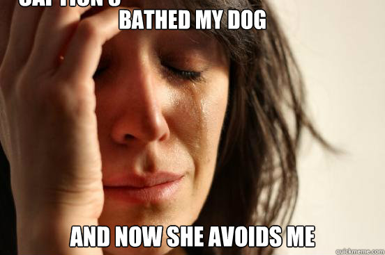 Bathed my dog  and now she avoids me Caption 3 goes here  First World Problems