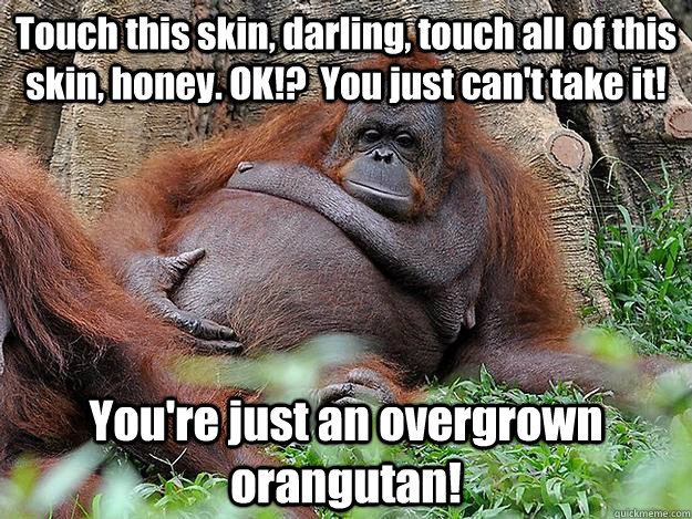 Touch this skin, darling, touch all of this skin, honey. OK!?  You just can't take it!  You're just an overgrown orangutan!   