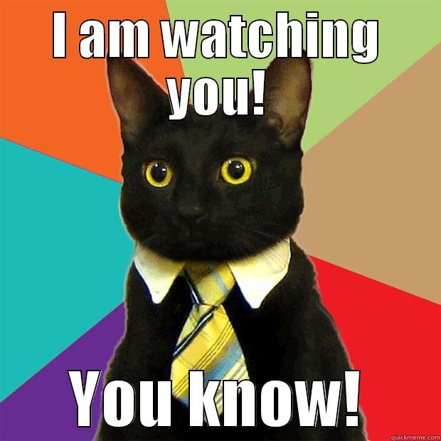 I am watching you! - I AM WATCHING YOU! YOU KNOW! Business Cat