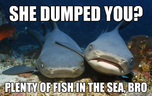 She dumped you? Plenty of fish in the sea, bro  Compassionate Shark Friend