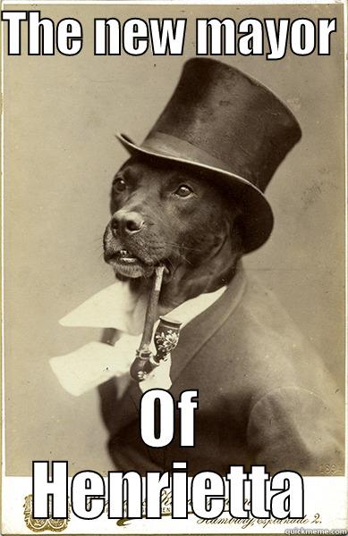 THE NEW MAYOR  OF HENRIETTA Old Money Dog