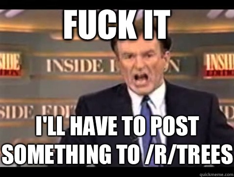 FUCK IT I'll have to post something to /r/trees  Angry Bill