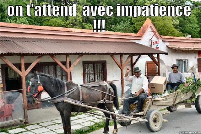 ON T'ATTEND  AVEC IMPATIENCE !!!  Misc