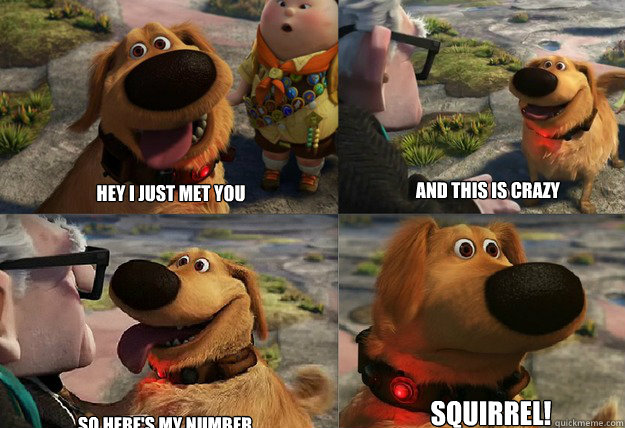 Hey i just met you and this is crazy Squirrel! so here's my number  Dug Squirrel