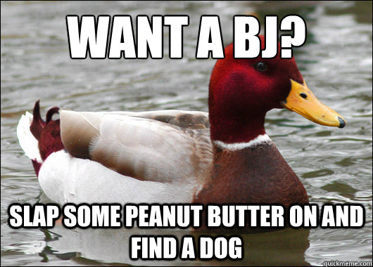 Want a Bj?
 slap some peanut butter on and find a dog - Want a Bj?
 slap some peanut butter on and find a dog  Misc