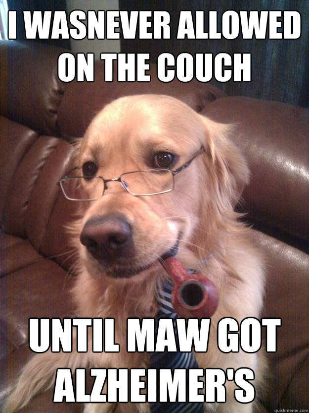 I wasnever allowed on the couch until maw got alzheimer's  Dad Dog
