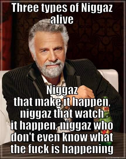 Types of Niggaz - THREE TYPES OF NIGGAZ ALIVE NIGGAZ THAT MAKE IT HAPPEN, NIGGAZ THAT WATCH IT HAPPEN, NIGGAZ WHO DON'T EVEN KNOW WHAT THE FUCK IS HAPPENING The Most Interesting Man In The World