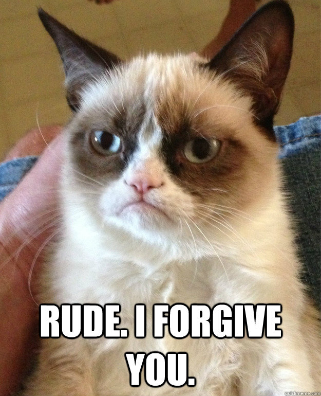  rude. i forgive you.  Grumpy Cat