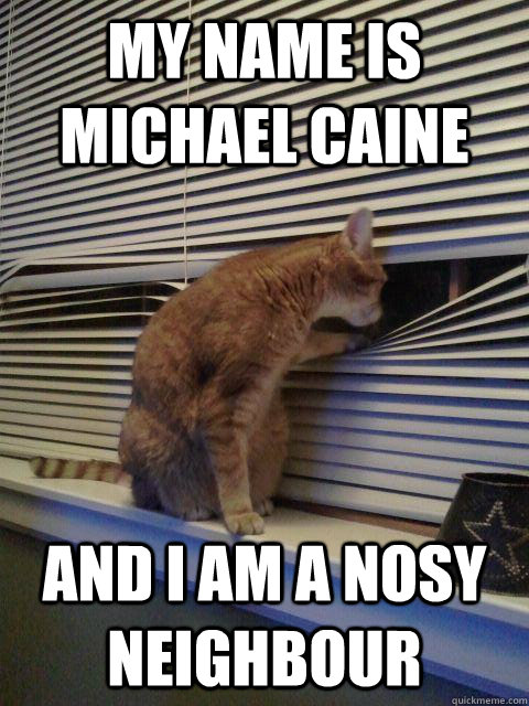 My name is michael caine and i am a nosy neighbour - My name is michael caine and i am a nosy neighbour  Peeping Tomcat