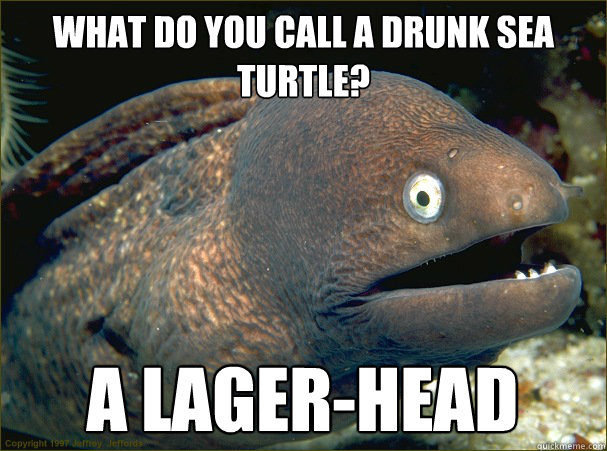 What do you call a drunk sea turtle? A Lager-head  Bad Joke Eel