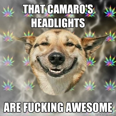 that camaro's headlights are fucking awesome  Stoner Dog