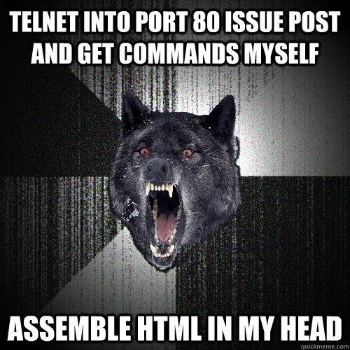telnet into port 80 issue post and get commands myself assemble html in my head  Insanity Wolf