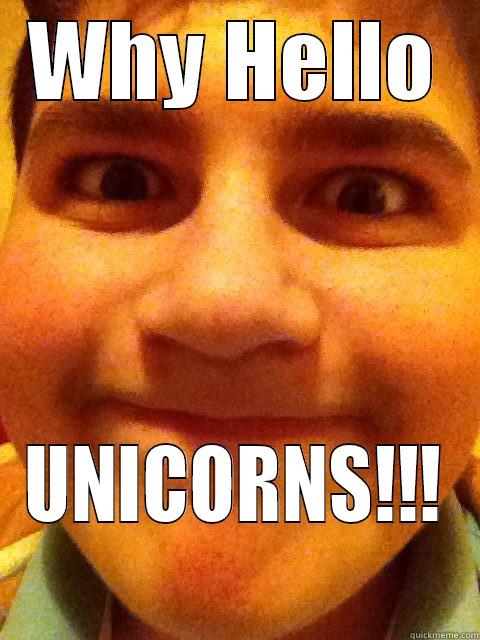 WHY HELLO UNICORNS!!! Misc