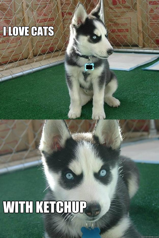 I love cats with ketchup  Insanity puppy