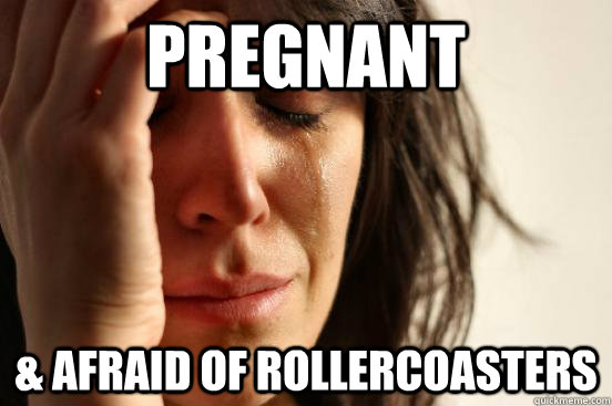 pregnant  & afraid of rollercoasters   First World Problems