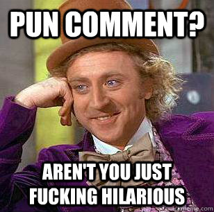 pun comment? Aren't you just fucking hilarious  Condescending Wonka