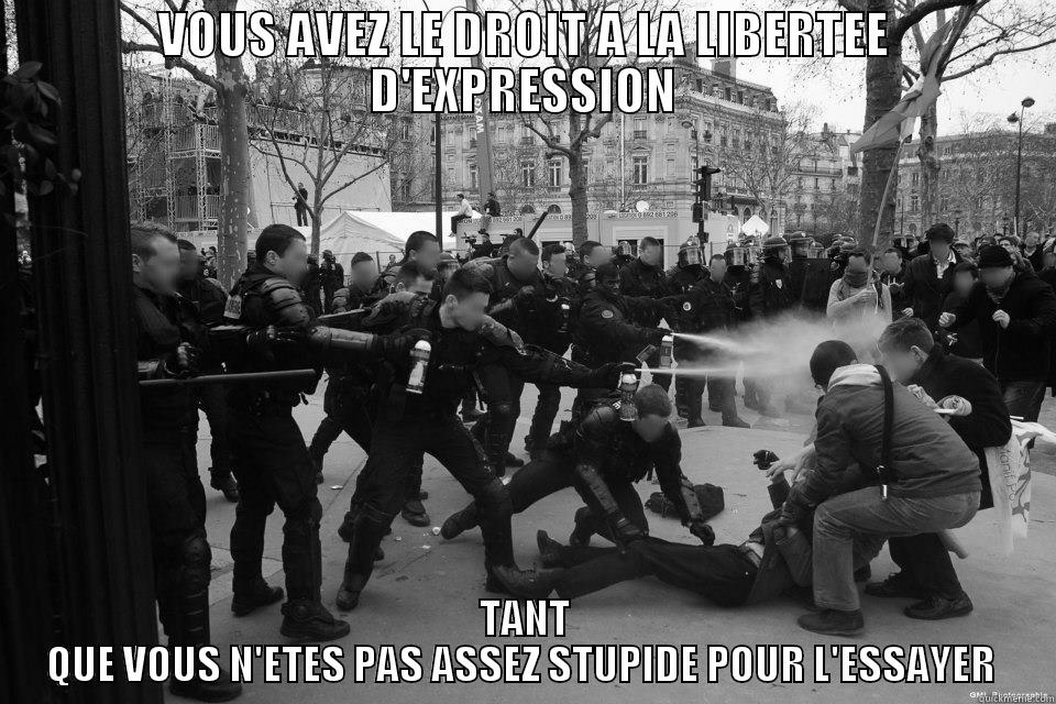 VOUS AVEZ LE DROIT A LA LIBERTEE D'EXPRESSION TANT QUE VOUS N'ETES PAS ASSEZ STUPIDE POUR L'ESSAYER  Misc