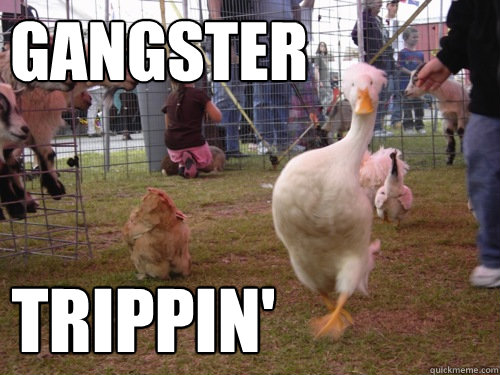 Gangster Trippin'  SWAN SWAG