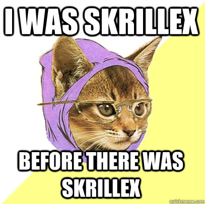 I was Skrillex  Before there was Skrillex  Hipster Kitty