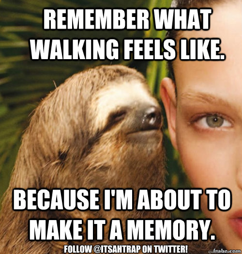 Remember what walking feels like. Because i'm about to make it a memory. Follow @ItsAhTrap on twitter!  rape sloth