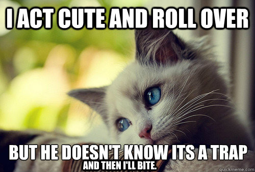 I act cute and roll over But he doesn't know its a trap and then I'll bite.  First World Problems Cat