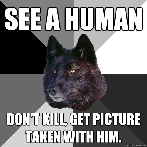 See a Human Don't kill, Get picture taken with him.  - See a Human Don't kill, Get picture taken with him.   Sanity Wolf