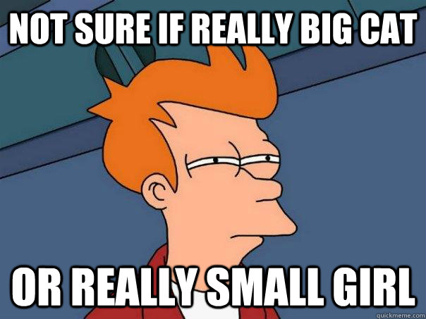 Not sure if really big cat or really small girl  Futurama Fry