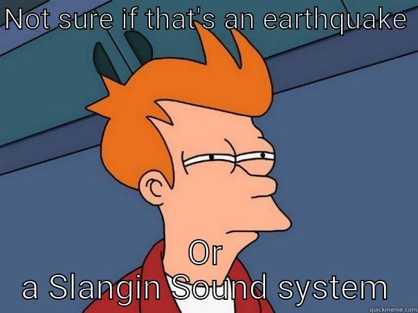 NOT SURE IF THAT'S AN EARTHQUAKE  OR A SLANGIN SOUND SYSTEM Futurama Fry