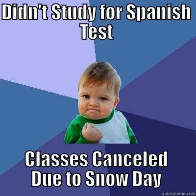 DIDN'T STUDY FOR SPANISH TEST CLASSES CANCELED DUE TO SNOW DAY Success Kid