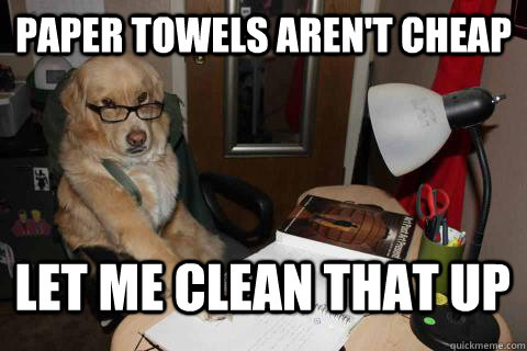 Paper towels aren't cheap Let me clean that up  