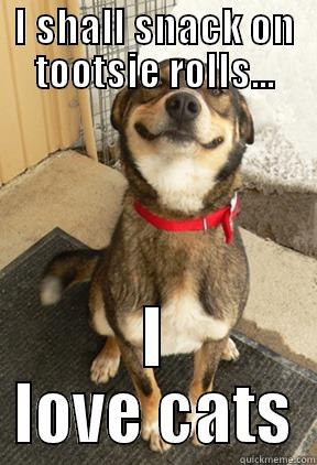 I SHALL SNACK ON TOOTSIE ROLLS... I LOVE CATS Good Dog Greg