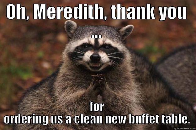 OH, MEREDITH, THANK YOU … FOR ORDERING US A CLEAN NEW BUFFET TABLE. Evil Plotting Raccoon