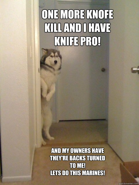 one more knofe kill and i have knife pro! and my owners have they're backs turned to me! 
lets do this marines!  