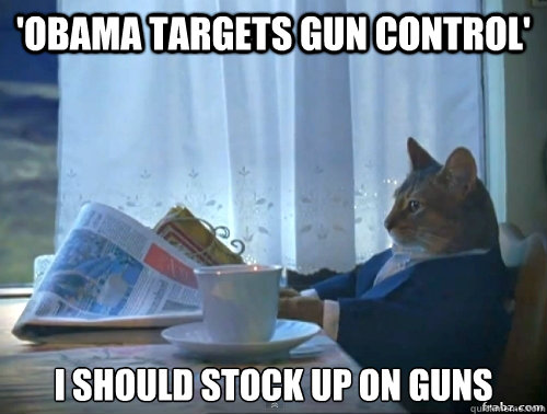 'Obama targets gun control' I should stock up on guns  Contemplative Breakfast Cat