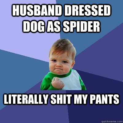 Husband dressed dog as spider literally shit my pants  Success Kid