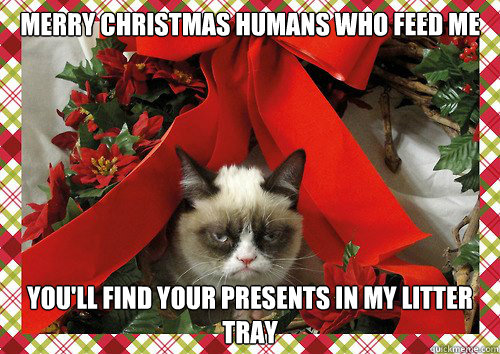 Merry Christmas humans who feed me you'll find your presents in my litter tray  A Grumpy Cat Christmas