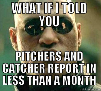 WHAT IF I TOLD YOU PITCHERS AND CATCHER REPORT IN LESS THAN A MONTH Matrix Morpheus