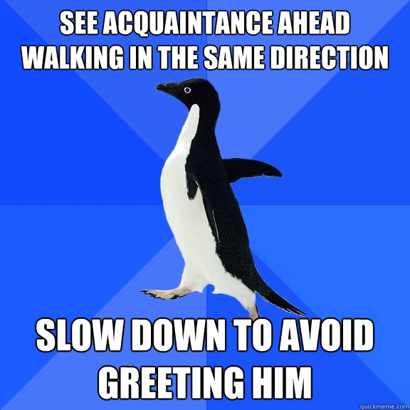See acquaintance ahead walking in the same direction slow down to avoid greeting him  Socially Awkward Penguin