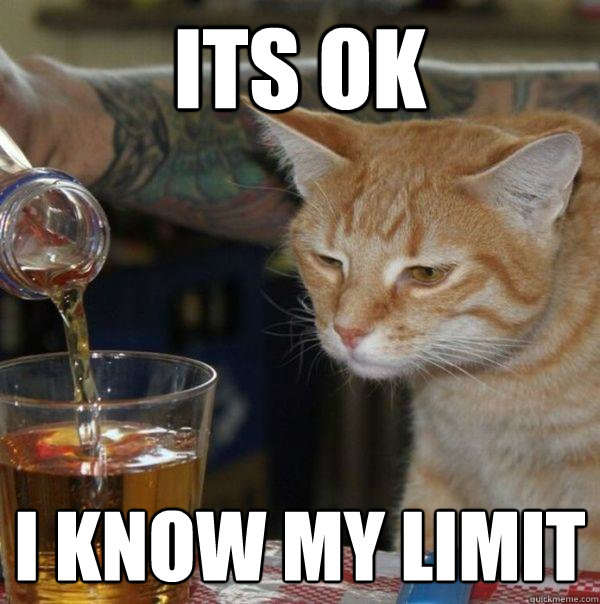 Its OK I know my limit - Its OK I know my limit  Drunk Cat