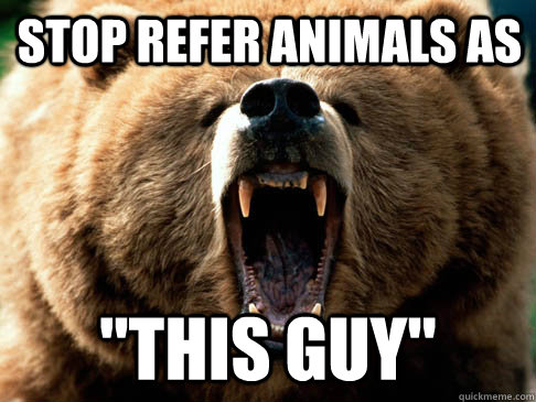 stop refer animals as 